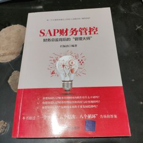 SAP财务管控：财务总监背后的“管理大师”