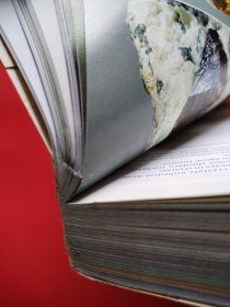 Minerals Encyclopedia (看图拍)