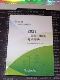 2023中国电力供需分析报告