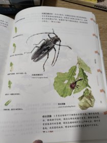 给孩子的自然图鉴：动物图鉴