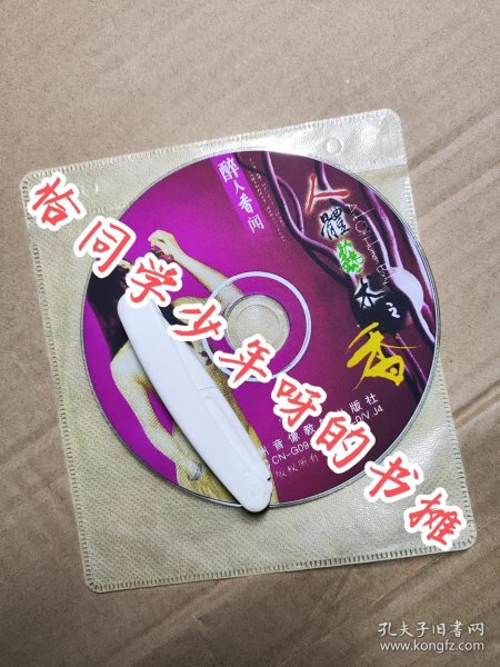 人体艺术 VCD 醉人 香闻 VCD简装 光盘