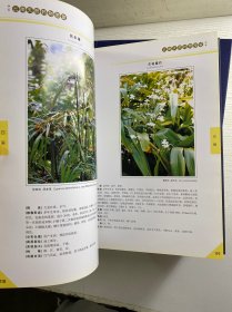 云南天然药物图鉴 第1、2、3、4卷（4本合售）签赠本（精装如图、内页干净）