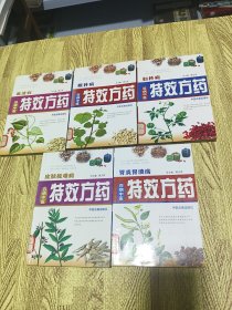 百病中医特效方药：皮肤疑难病、妇科病、血液病、眼科病、胃炎胃溃疡【5本】