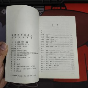 美国 审判 城堡（世界文学名著）