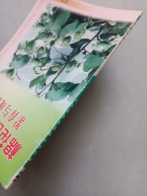 棉花良种繁育与成苗技术 私藏品好自然旧品如图
