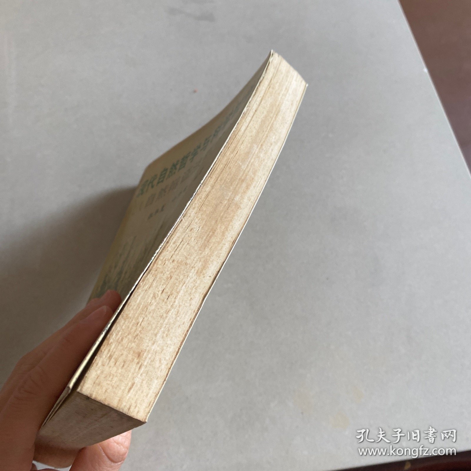 现代自然哲学与科学哲学:自然辩证法概论