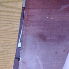 塑料一开美女模特宣传画