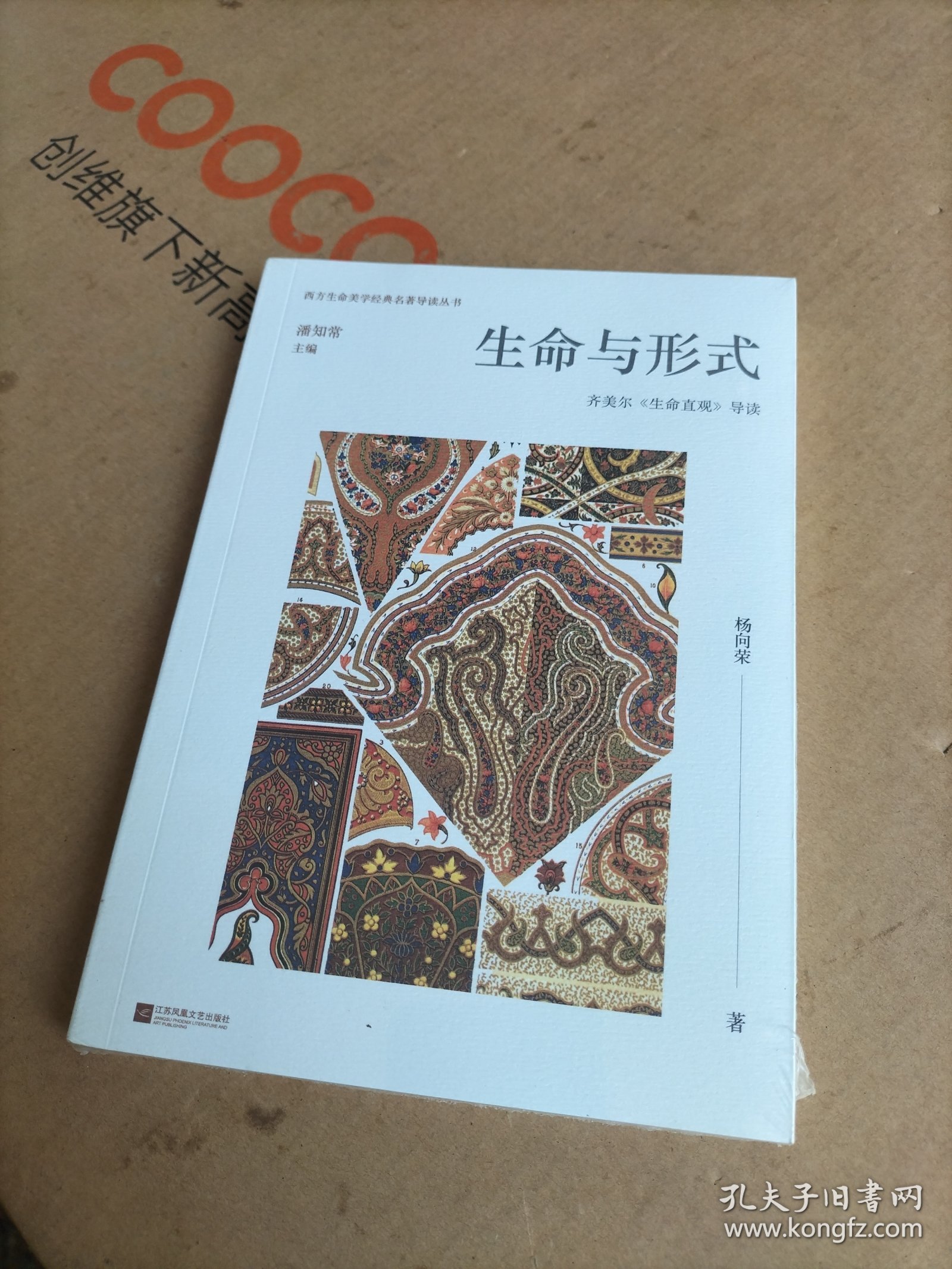 生命与形式：齐美尔《生命直观》导读