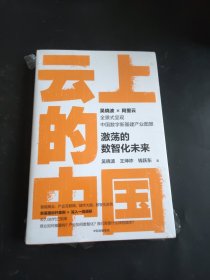 云上的中国：激荡的数智化未来