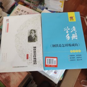 博文全本钢铁是怎样炼成的带学考手册