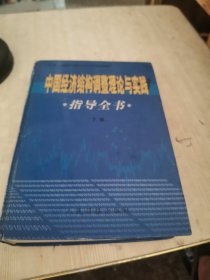 中国经济结构调整理论与实践指导全书（下卷）