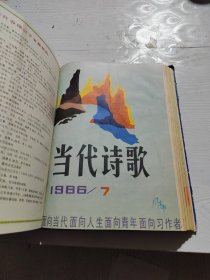 当代诗歌，诗爱者