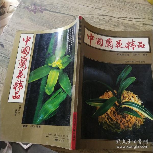 中国兰花精品