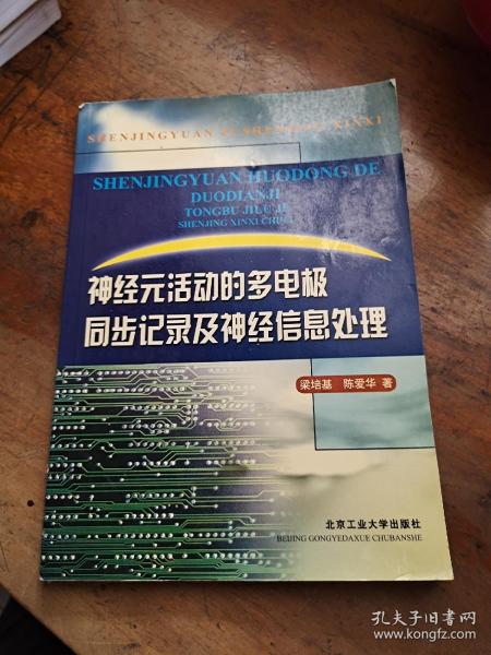 神经元活动的多电极同步记录及神经信息处理