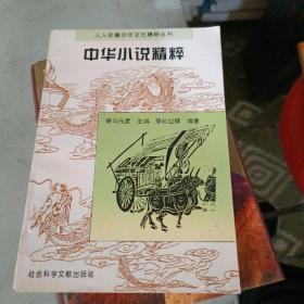 中华小说精粹