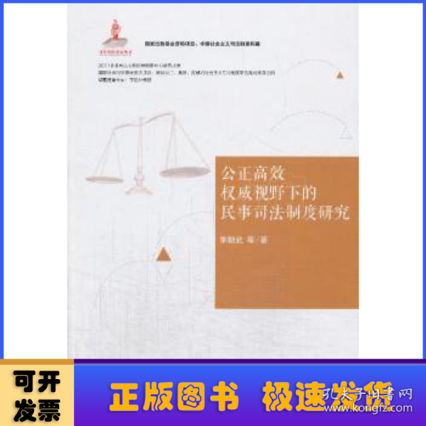 中国社会主义司法制度构建：公正高效权威视野下的民事司法制度研究