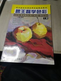 跟王磊学色彩