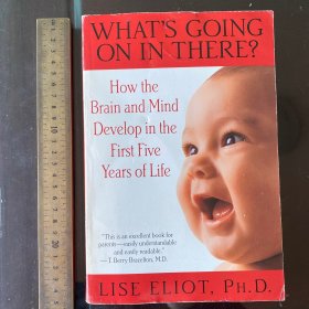 How the brain and mind develope in the first five years of life raising child what is going on in there英文原版