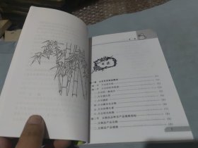 豆制品加工技艺(第2版)