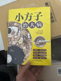 小方子治大病   中医书籍养生偏方大全民间老偏方美容养颜常见病防治 保健食疗偏方秘方大全小偏方老偏方中医健康养生保健疗法