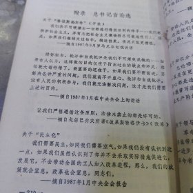 戈尔巴乔夫和赖莎