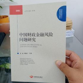 中国财政金融风险问题研究