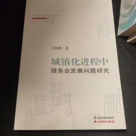 城镇化进程中服务业发展问题研究/中国新型城镇化发展丛书