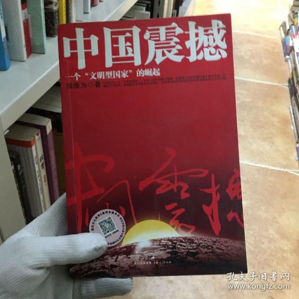 中国震撼：一个“文明型国家”的崛起