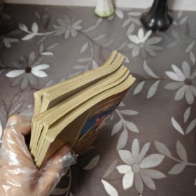 电脑骑士上下8册全