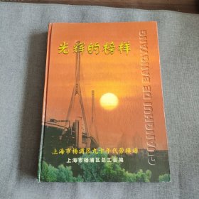 光辉的榜样 上海市杨浦区九十年代劳模谱 精装 正版现货0382S 书部分页有黄点
