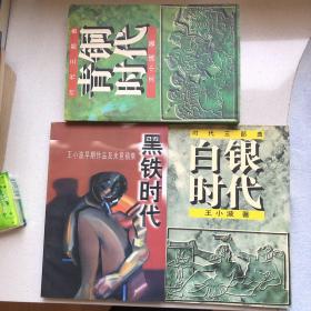 黑铁时代：王小波早期作品及未竟稿集