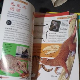 恐龙：揭开史前世界巨大动物的奥秘1-22册（22本合售）
