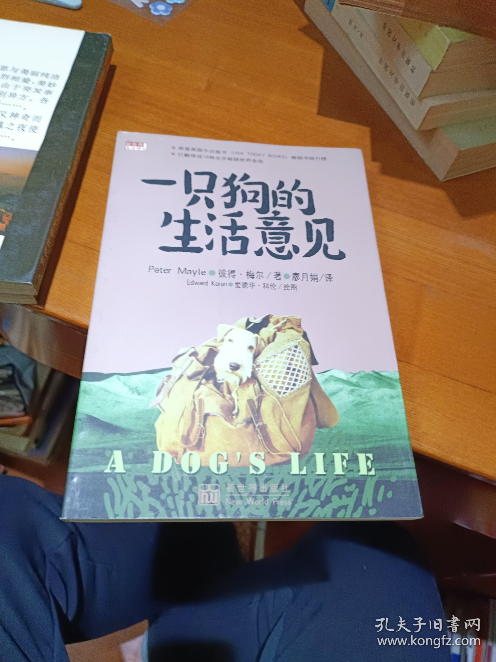 一只狗的生活意见