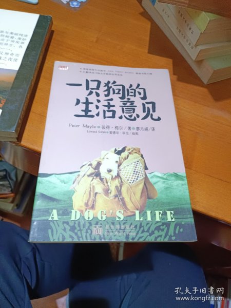 一只狗的生活意见