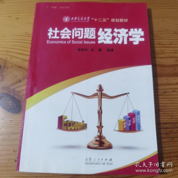 “茶客”文库系列·西安交通大学“十二五”规划教材：社会问题经济学