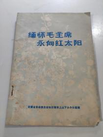缅怀毛主席 永向红太阳