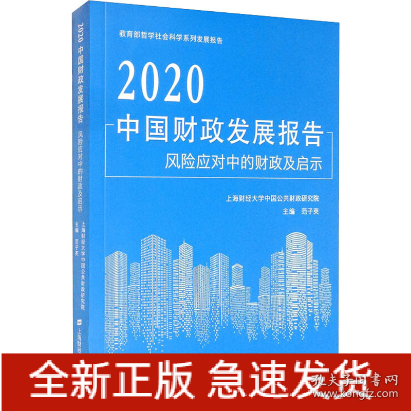 2020中国财政发展报告 风险应对中的财政及启示