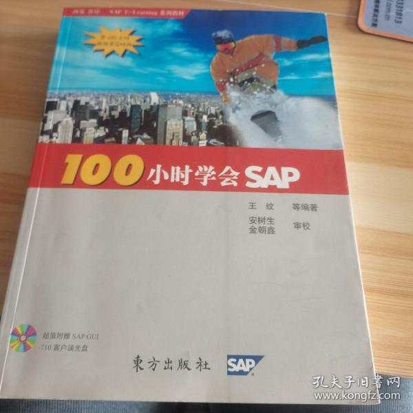 100小时学会SAP