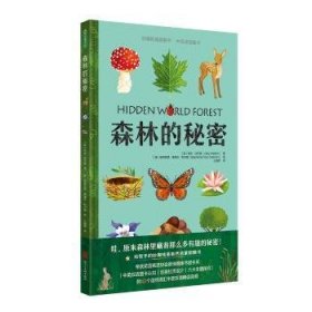 【全新正版，假一罚四】森林的秘密(英)莉比·沃尔登(Libby Walden)著9787531098669河北美术出版社