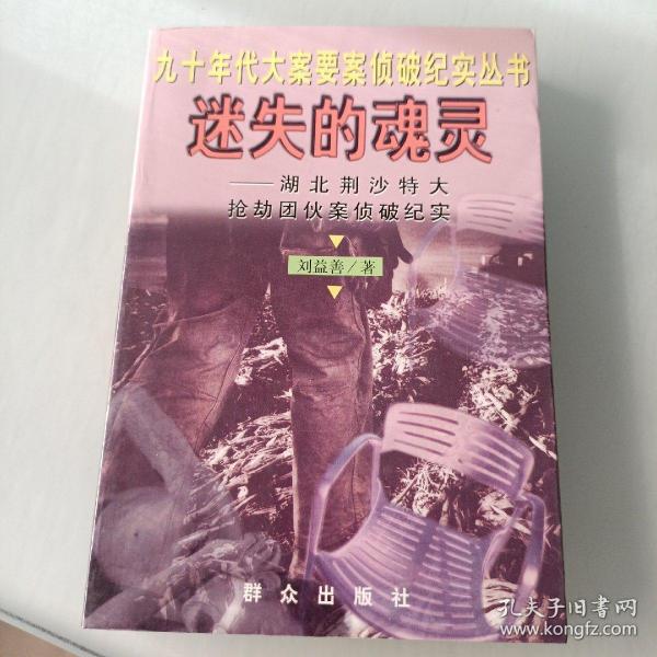 迷失的魂灵--湖北荆沙特大抢劫团伙案侦破纪实