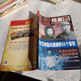 纵横档案解码珍藏本第13卷