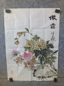 老菊花画片