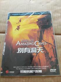 别有洞天（未拆封）DVD   简装