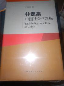 补课集：中国社会学新探