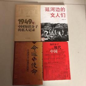 知识分子与现代中国
