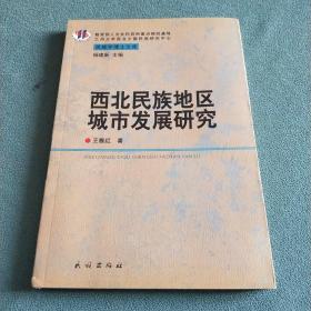 西北民族地区城市发展研究