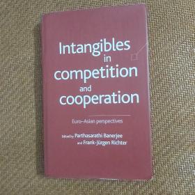Intangibles in Competition and Cooperation: Euro-Asian Perspectives《竞争与合作中的无形资产：欧亚视角 》，Palgrave Macmillan出版，精装，16开