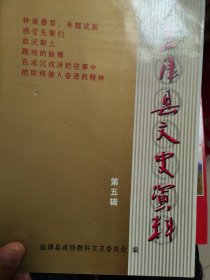 盐津县文史资料