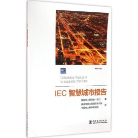 全新正版IEC智慧城市报告9787591345