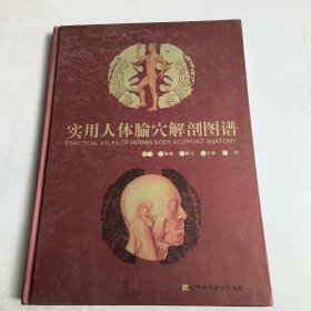 实用人体腧穴解剖图谱